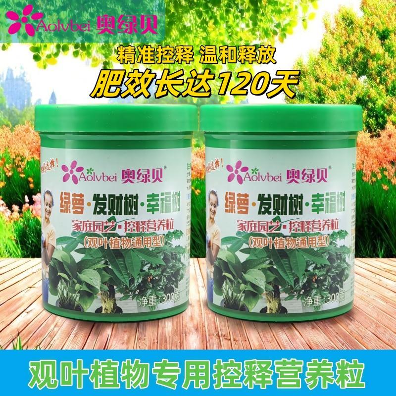 奥绿贝控释营养粒发财树幸福树