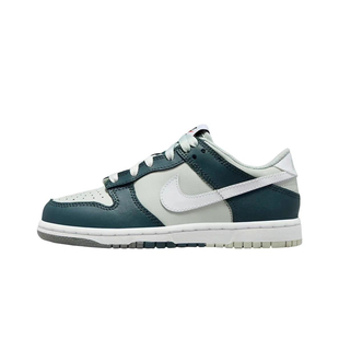 DUNK LOW FB9109 NIKE 大童低帮舒适百搭休闲板鞋 300 清仓