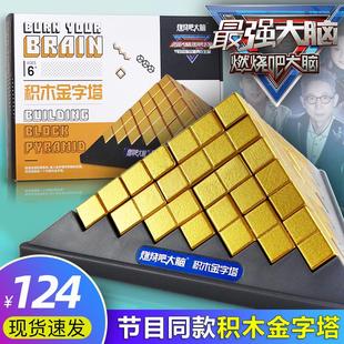 .燃烧吧强大脑积木金字塔9益智玩具7男孩10智力6岁以上动脑8礼物