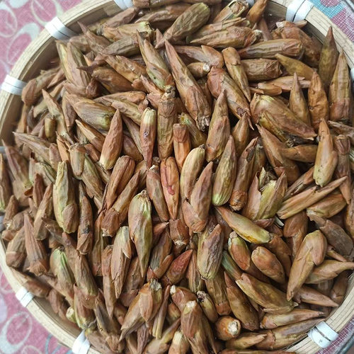 当季时令药用中药材杨树芽500g