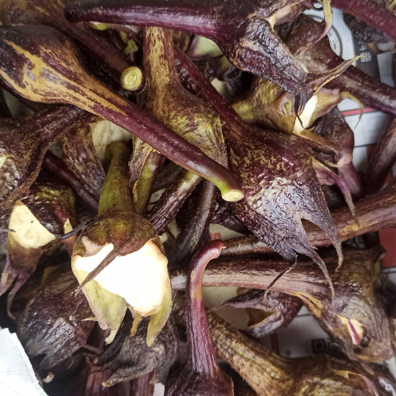 紫色茄子蒂当季药用现摘新鲜茄子根中药材偏方农家茄子把500g包邮,水产肉类/新鲜蔬果/熟食,其它,淘宝优惠券,粉丝福利购,淘宝优惠卷