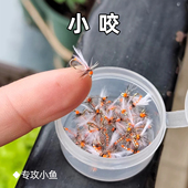 22号钩 小咬迷你飞蝇钩 溪流微物路亚马口白条溪哥柳根小鱼