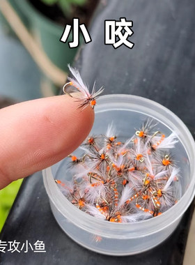 小咬迷你飞蝇钩路亚马口白条