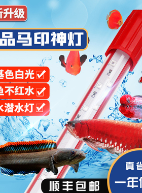 马印神灯PLUS红龙专用发色灯三基色防水LED增色灯鱼缸龙鱼增艳灯