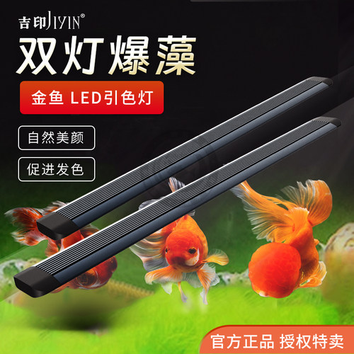 吉印金鱼兰寿专用鱼缸Led灯