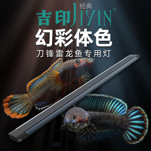 吉印雷龙专用增艳色灯鱼缸