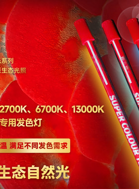 马印神灯6700K金红龙固色专用灯