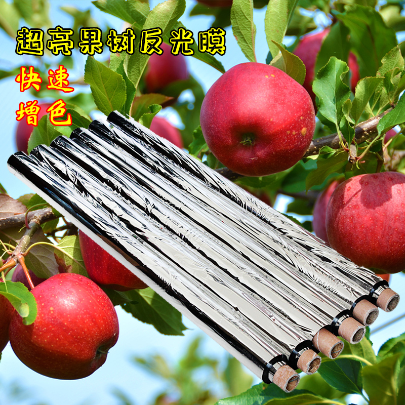 农用大棚果树反光膜反光幕温室增温高亮果树果园苹果葡萄专用增色