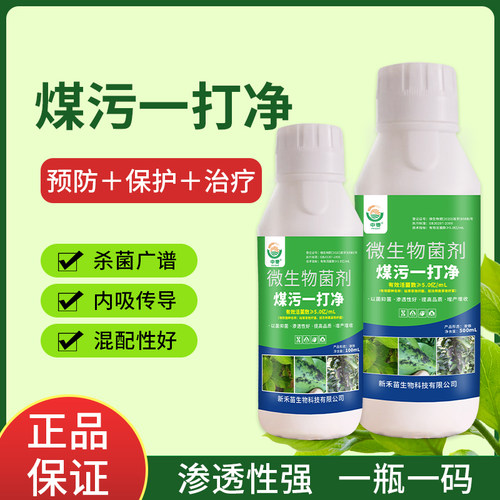 煤污病一打净果树柑橘煤污病专用