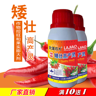 辣椒矮壮高产灵专用控旺剂辣椒控旺素控制旺长保花保果生长调节剂