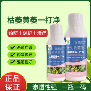 枯萎黄萎病一打净果树番茄辣椒黄瓜草莓棉花枯萎病根腐立枯病正品