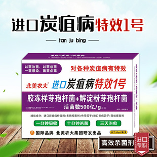 进口炭疽病特效1号果树西瓜辣椒黄瓜番茄炭疽病专用药 炭疽杀菌剂