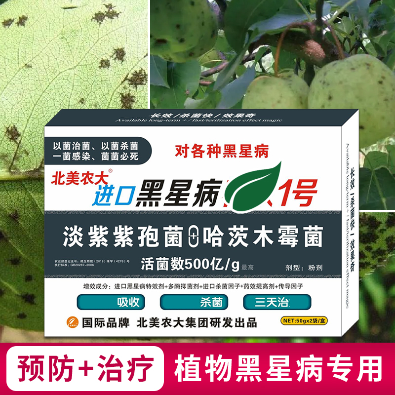 果树苹果梨树黑星病专用药杀菌剂