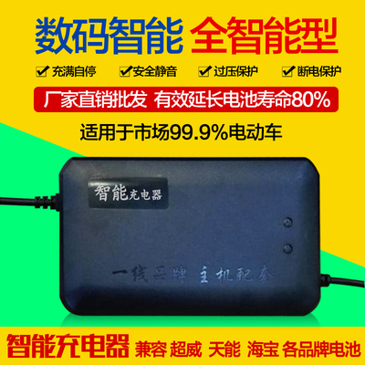 电动车充电器48V60V72V12ah/20ah台翔踏浪狮龙凯骑锡特路基亚永久