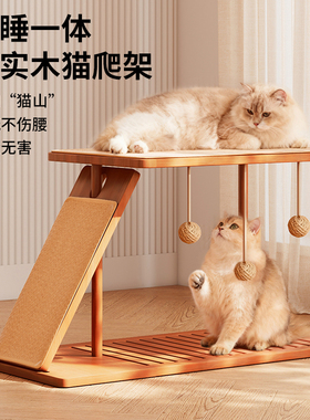 实木猫爬架家用猫窝猫抓球猫抓板一体四季专用猫架子小户型不占地