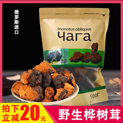 桦树茸俄罗斯进口旗舰店野生华树茸正品白桦茸的功效和作用长白山
