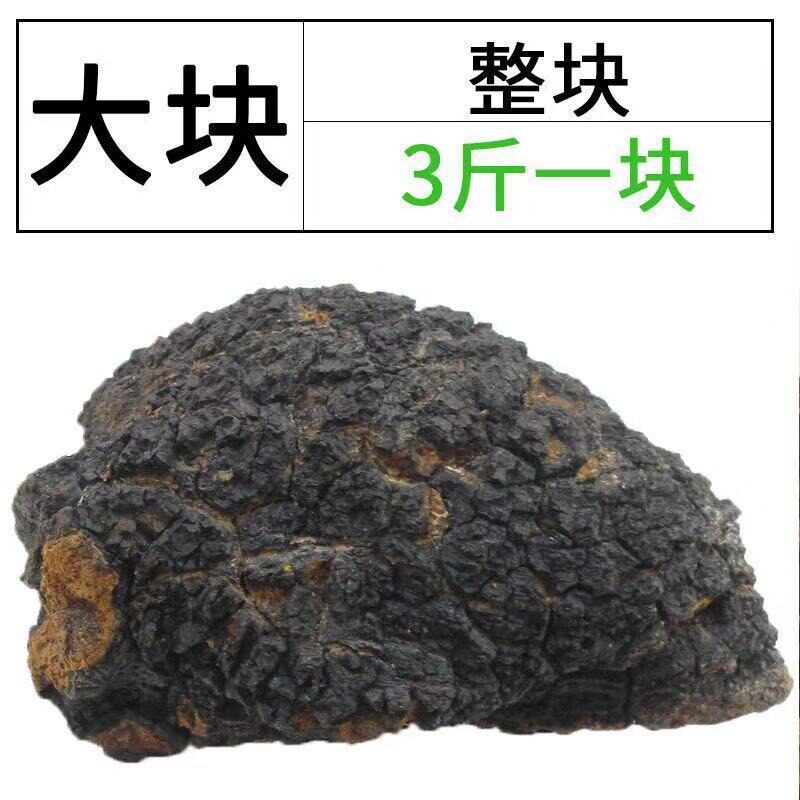 野生俄罗斯特级桦树茸