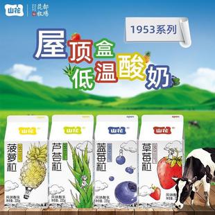 贵州贵阳山花牛奶1953系列低温酸奶风味酸乳220g 6盒