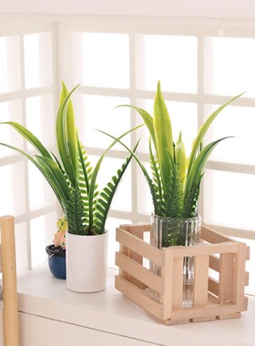 1:12娃娃屋Dollhouse迷你微缩食玩OB11/BJD生活场景绿色植物盆栽