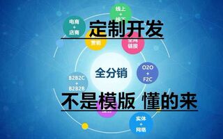 定制开发小程序公众号APP支付系统特殊分销商城客户系统数据对接