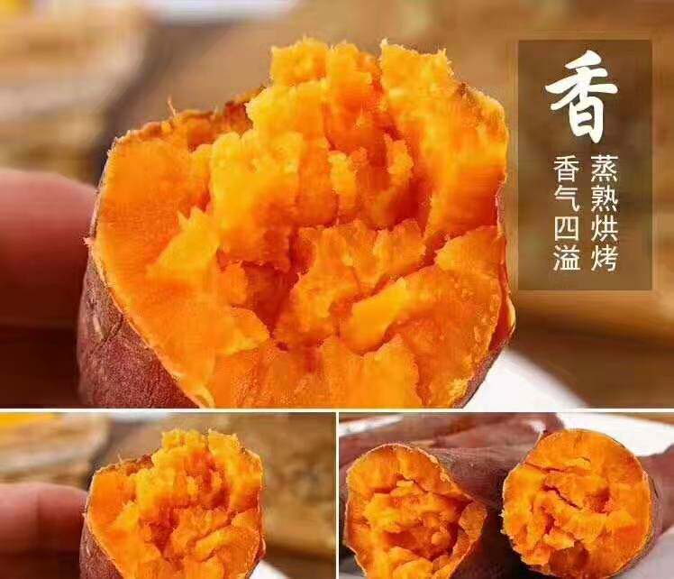 六鳌带箱5沙地农家自种红蜜薯