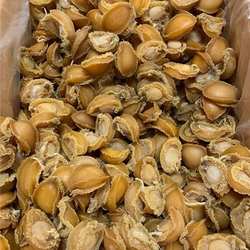 天然大连鲍鱼干小鲍鱼仔煲汤煲粥鲜美海产品海鲜干货佛跳墙配料