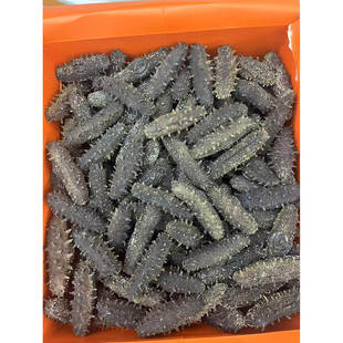 大连辽参海参干货500克辽参刺参淡干非即食海渗礼盒送礼50g高参龄