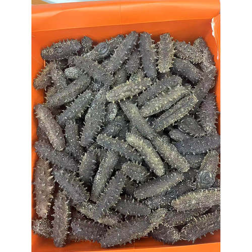 大连辽参淡干海参500g高参龄
