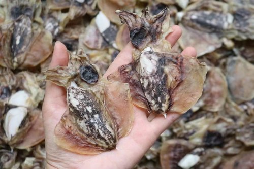 淡晒墨鱼干淡水大目鱼干小乌贼干