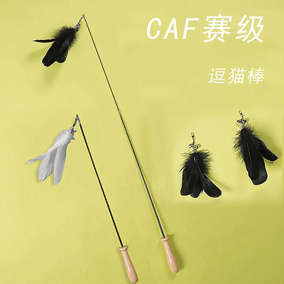 CFA赛级逗猫棒长杆猫玩具逗猫羽毛替换头幼猫小猫咪自嗨解闷神器