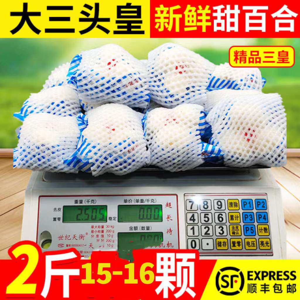 兰州新鲜百合2斤甜百合兰州百合真空农家药食同源特级甜非百合干