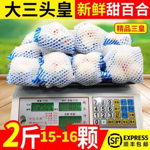 兰州新鲜甜百合特级无硫非干现挖