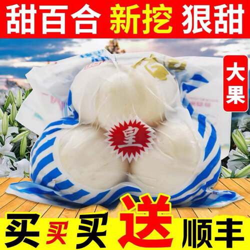 兰州新鲜甜百合特级大果现挖