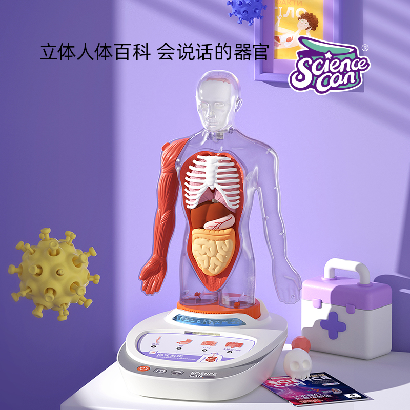 人体器官模型玩具解剖解刨儿童内脏结构steam我们的