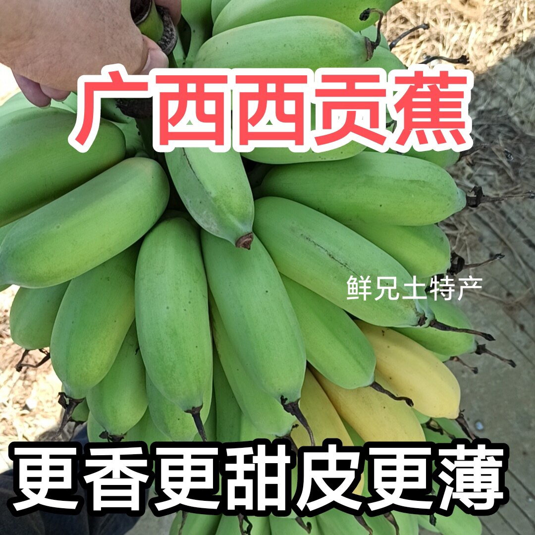 广西西贡蕉贡芭蕉贡甜香蕉贡甜香蕉粉蕉软糯香甜苹果粉蕉