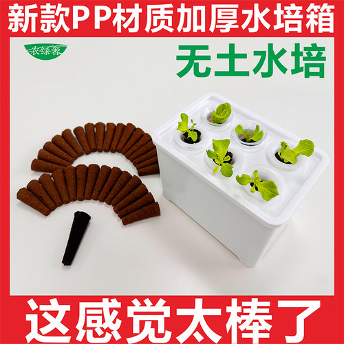水培箱学校栽培设备家庭阳台蔬菜种植套装水培器皿儿童教学种菜机