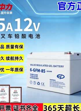 中力合力杭州电动叉车电瓶地牛搬运车蓄电池12V30A65A85A锂电池