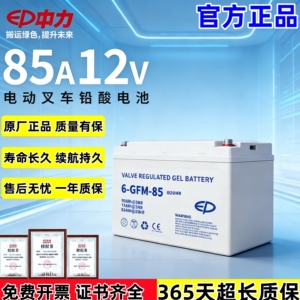 中力合力杭州电动叉车电瓶地牛搬运车蓄电池12V30A65A85A锂电池