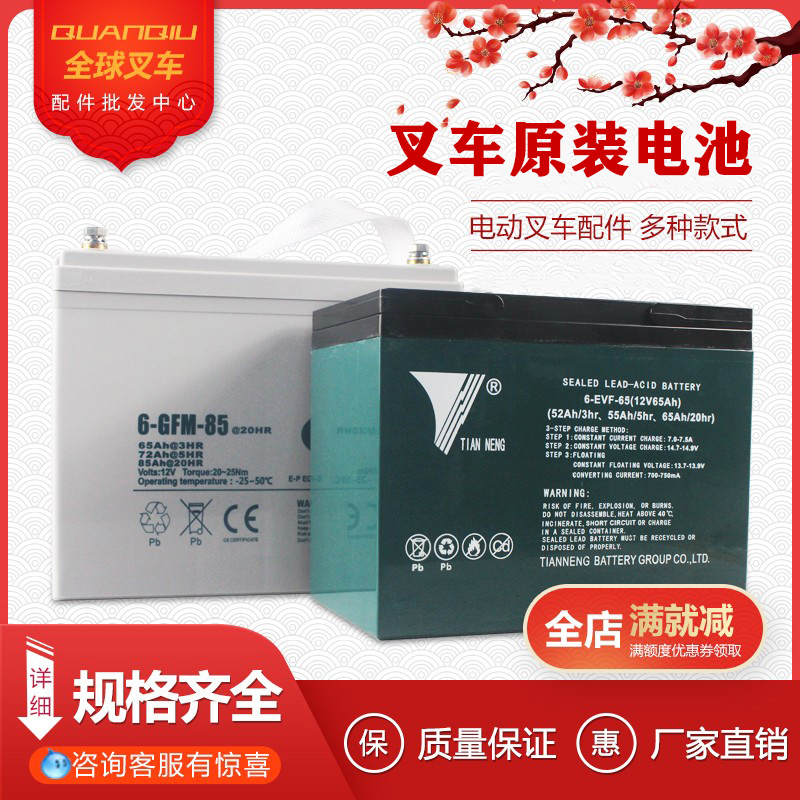 中力合力杭州电动叉车电瓶地牛搬运车蓄电池12V30A65A85A锂电池-封面