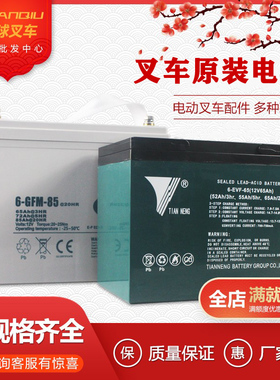 中力合力杭州电动叉车电瓶地牛搬运车蓄电池12V30A65A85A锂电池