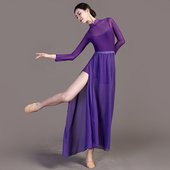 中国民族风古典舞蹈半身裙女成人练功服学生艺考跳舞练习演出长裙