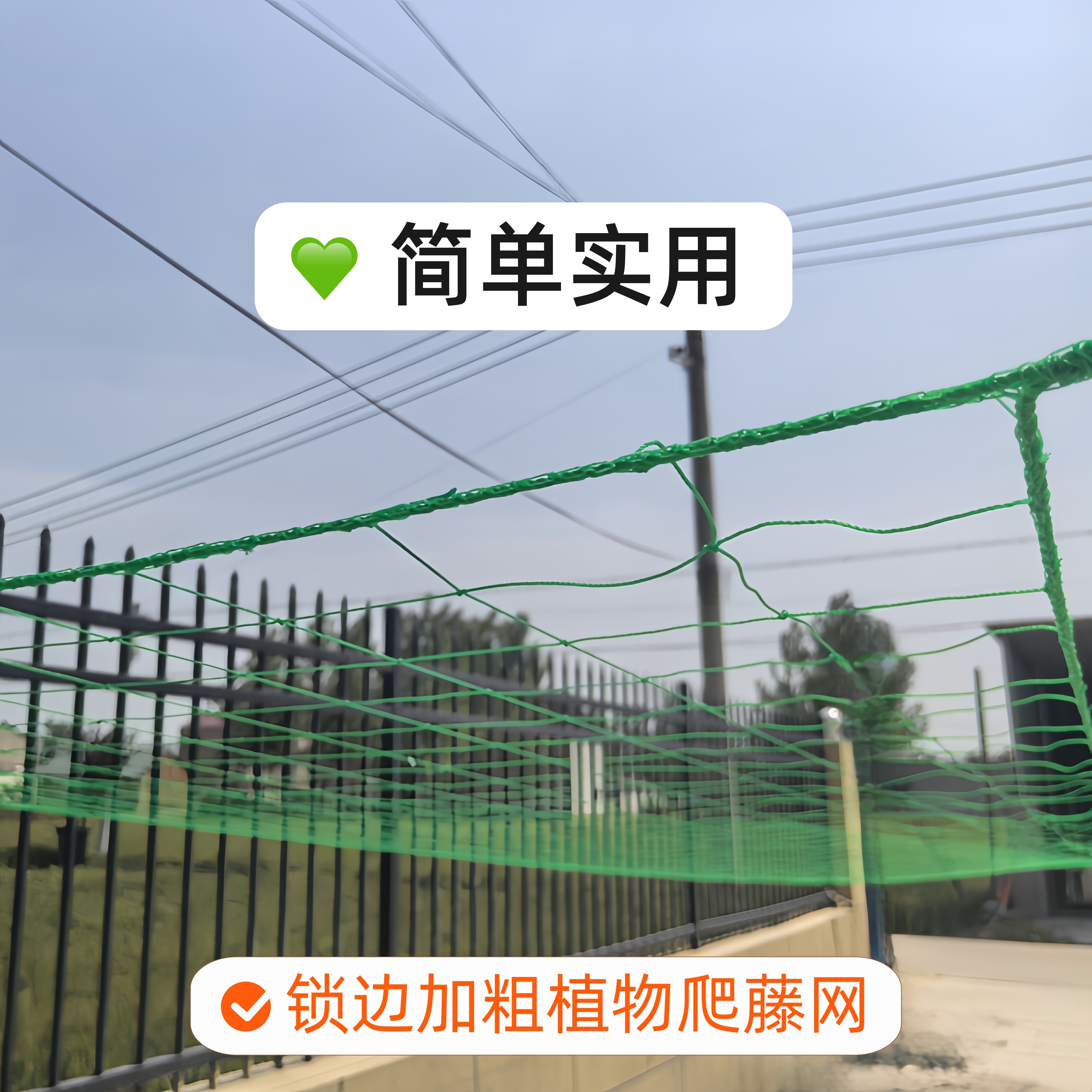 加粗四周锁边植物爬藤网豆角瓜果