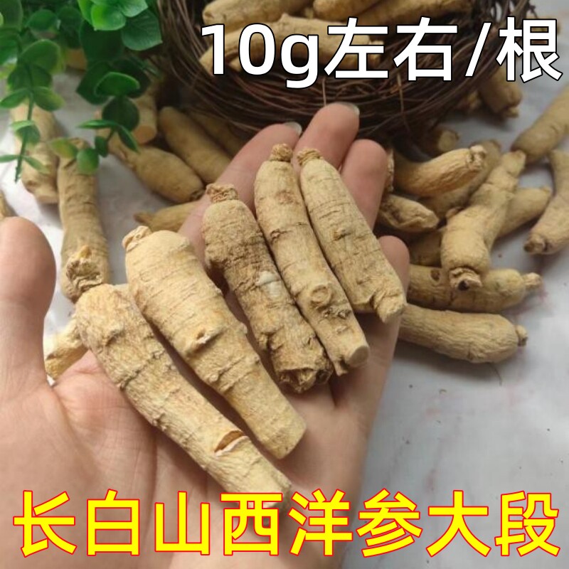 长白山大段西洋参段半斤250克西洋参段花旗参整枝大西洋参
