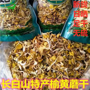包邮榆黄蘑 半斤长白山特产山珍玉皇蘑 小蘑菇东北干货250g鸡油菌