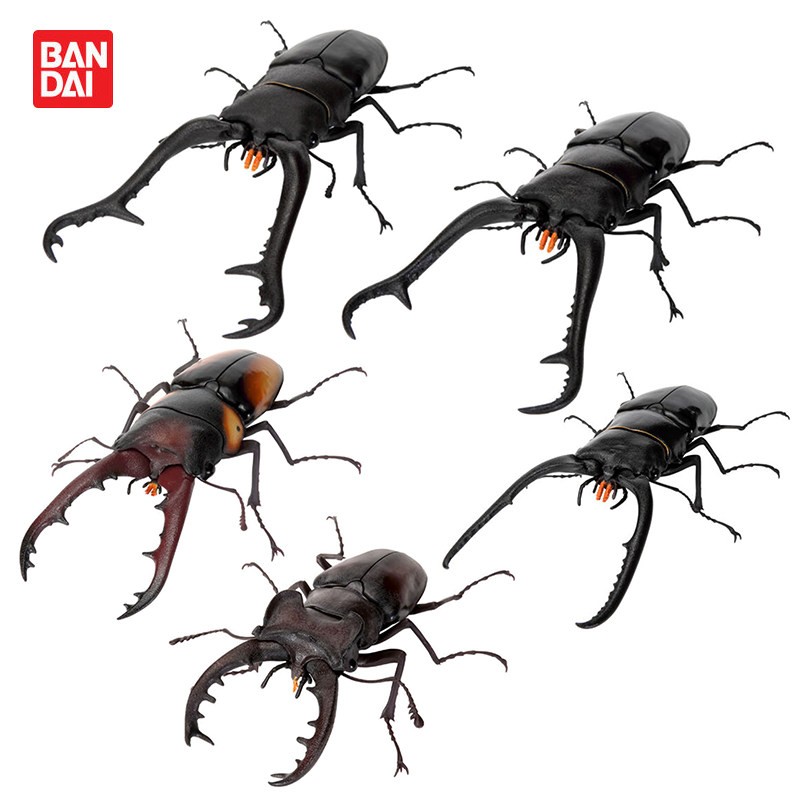 [现货]万代扭蛋 生物大图鉴 甲壳虫 锹形虫11 长颈鹿锯锹甲