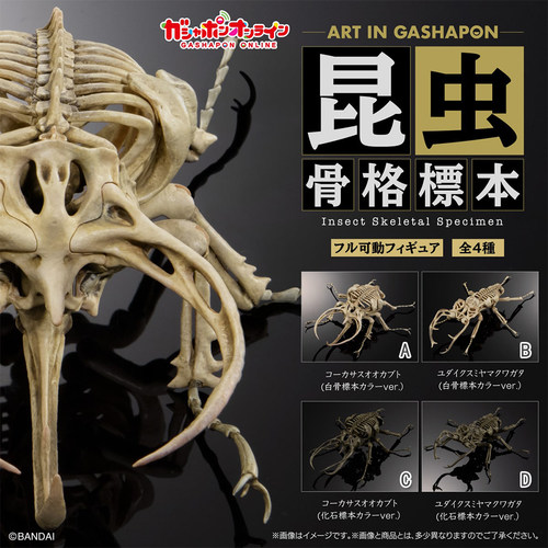 昆虫骨架标本造型摆件扭蛋