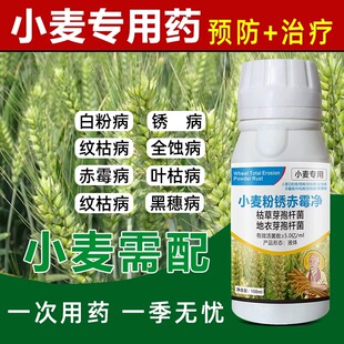 小麦病 小麦杀菌剂锈病纹枯病白粉病黑穗病全蚀病根腐病专用药