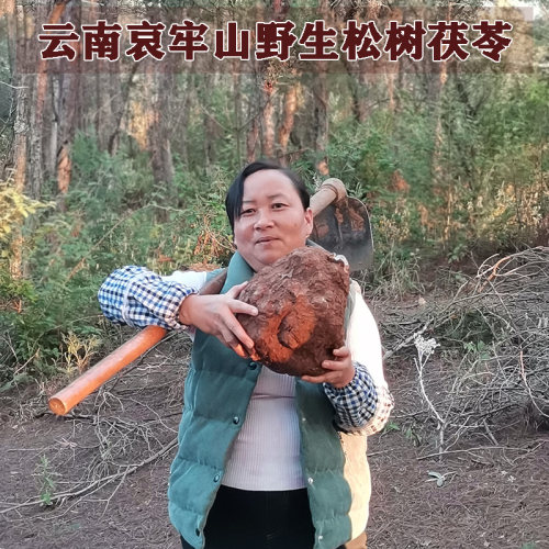野生原生态正品无硫茯苓生切晒干