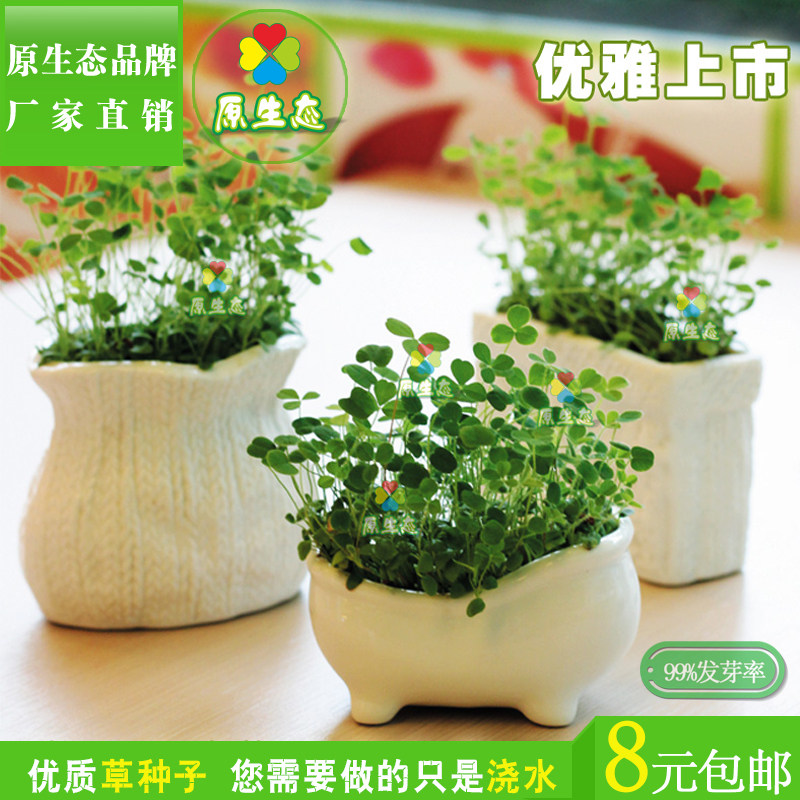 种植长草娃娃原生态白瓷摆件