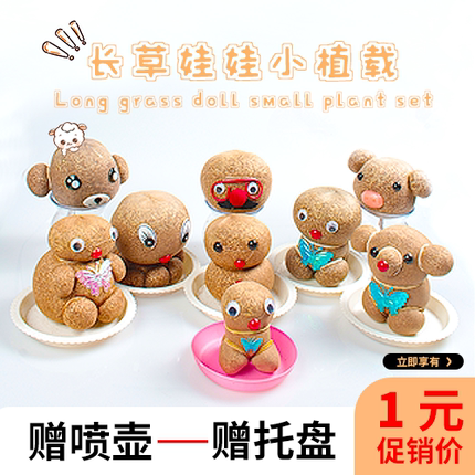 满8元包邮长草头娃娃盆栽创意微景观水培芽苗菜猫草种植玩具